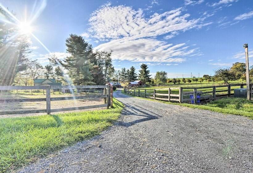 Pet Friendly Retreat On A Horse Breeding Farm!