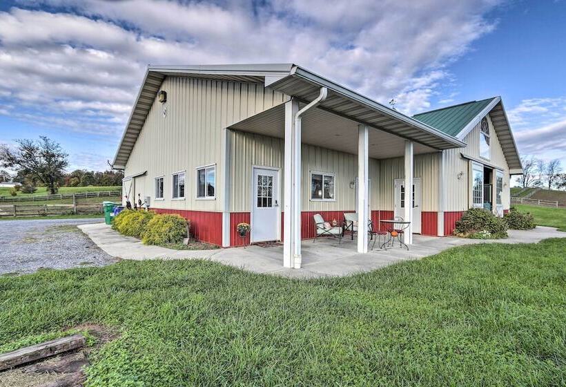 Pet Friendly Retreat On A Horse Breeding Farm!