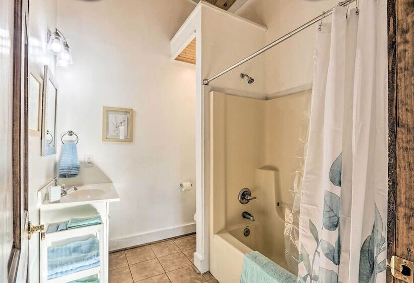 Pet Friendly Retreat On A Horse Breeding Farm!