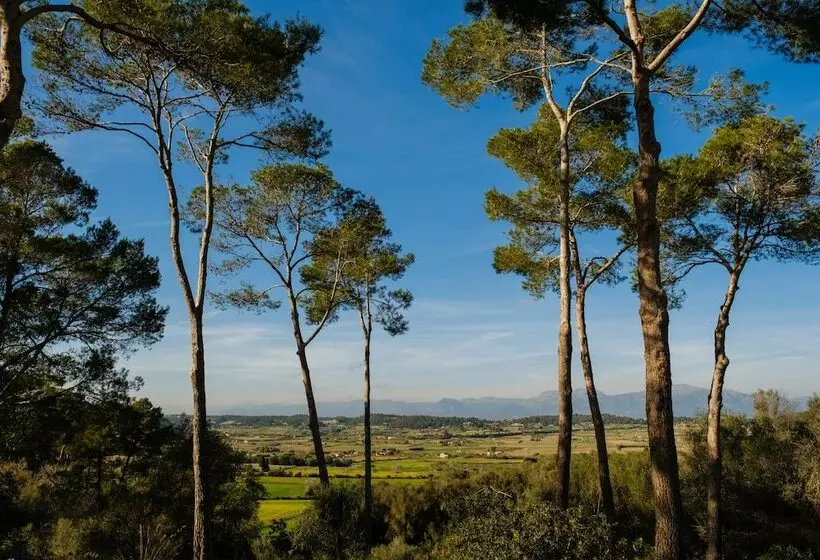 Maaseutuhotelli Finca Sa Bastida Luxury Retreat & Spa   Adults Only
