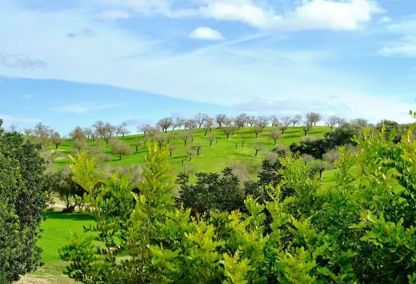 Maaseutuhotelli Finca Sa Bastida Luxury Retreat & Spa   Adults Only