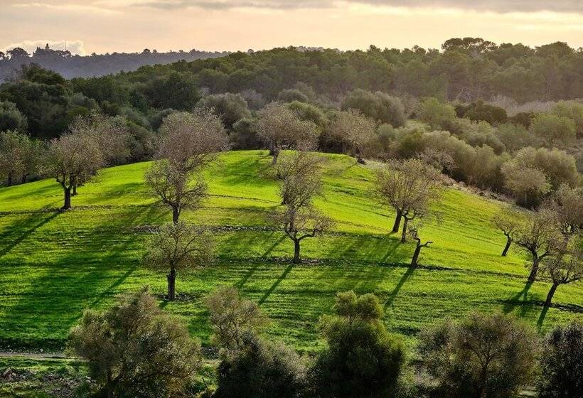 هتل روستایی Finca Sa Bastida Luxury Retreat & Spa Adults Only