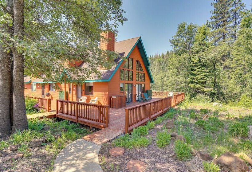 Mccloud Cabin W/ 3.5 Miles Of Private Hiking!