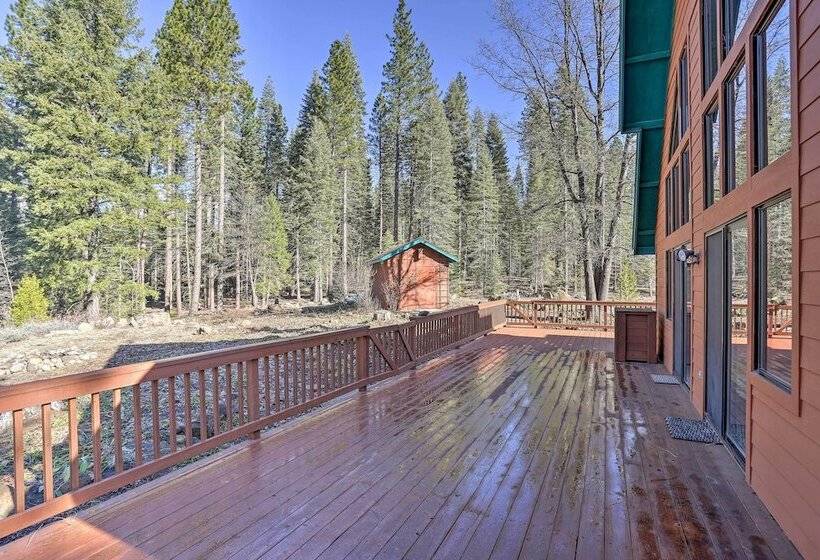 Mccloud Cabin W/ 3.5 Miles Of Private Hiking!