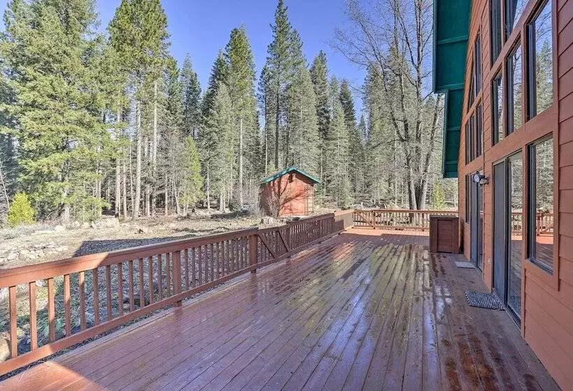 Mccloud Cabin W/ 3.5 Miles Of Private Hiking!