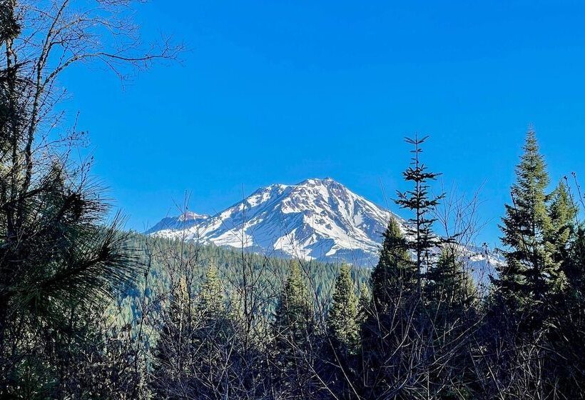 Mccloud Cabin W/ 3.5 Miles Of Private Hiking!