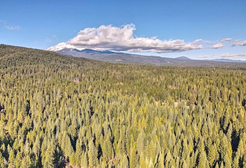 Mccloud Cabin W/ 3.5 Miles Of Private Hiking!