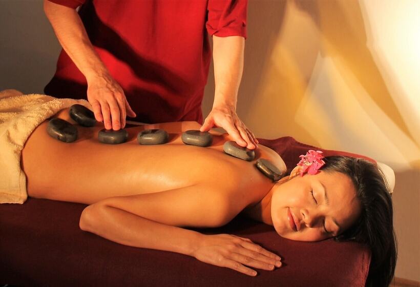 بنسيون Chateau La Servayrie