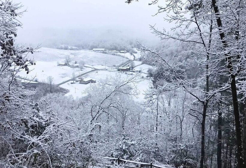 Pigeon Forge Scenic Solitude W/ Private Hot Tub!