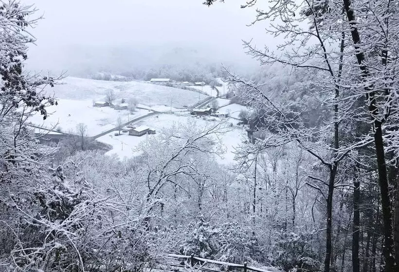 Pigeon Forge  Scenic Solitude  W/ Private Hot Tub!