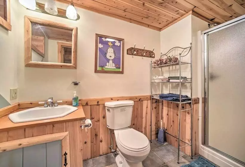 Pet Friendly New York Cabin W/ Hot Tub & Game Room