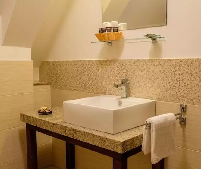 Boutique Hotel Pracháreň