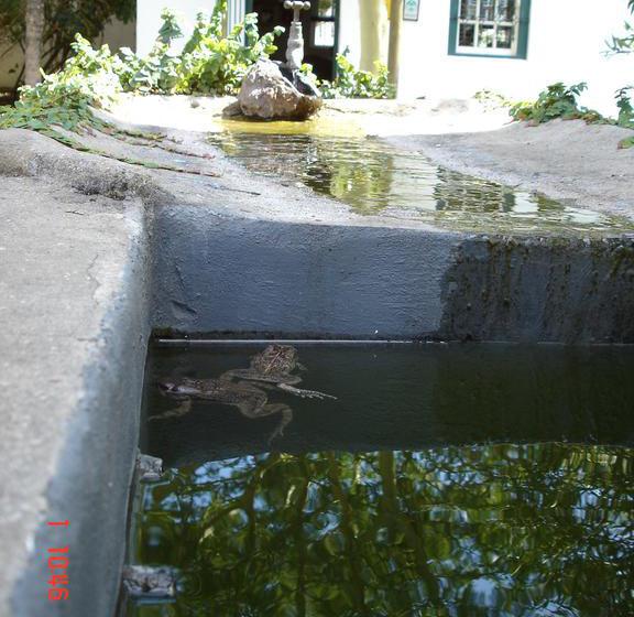 De Doornkraal Vinotel