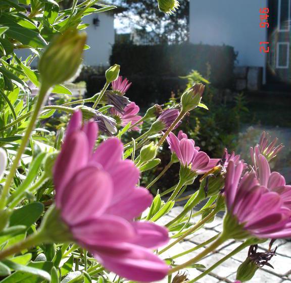 De Doornkraal Vinotel