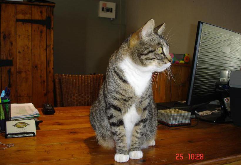 De Doornkraal Vinotel