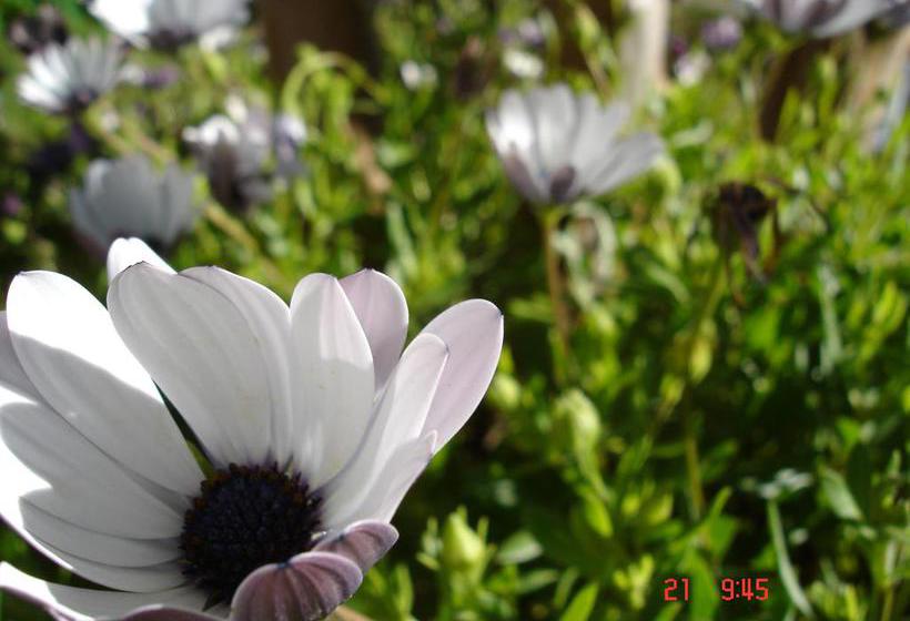 De Doornkraal Vinotel