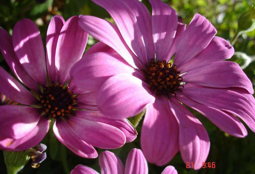 De Doornkraal Vinotel