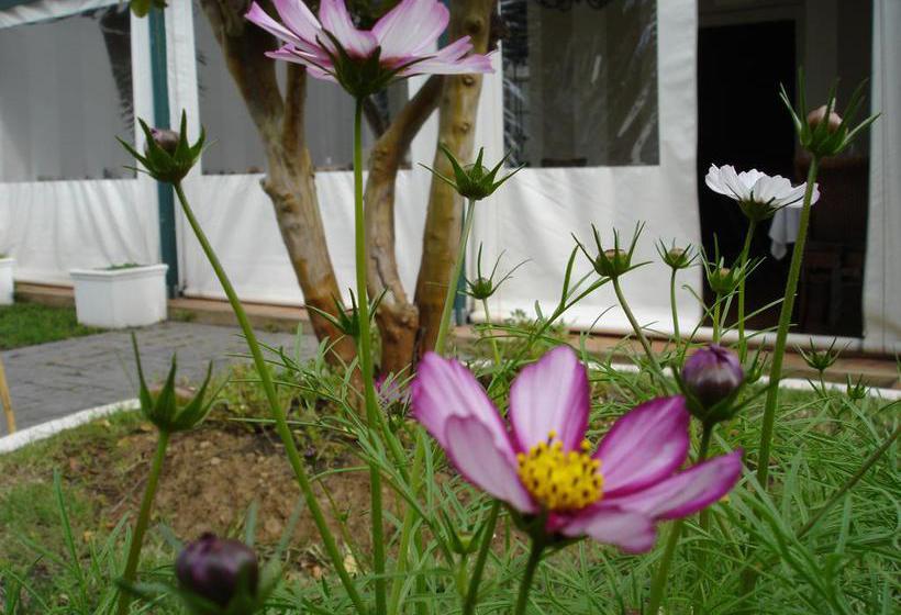 De Doornkraal Vinotel