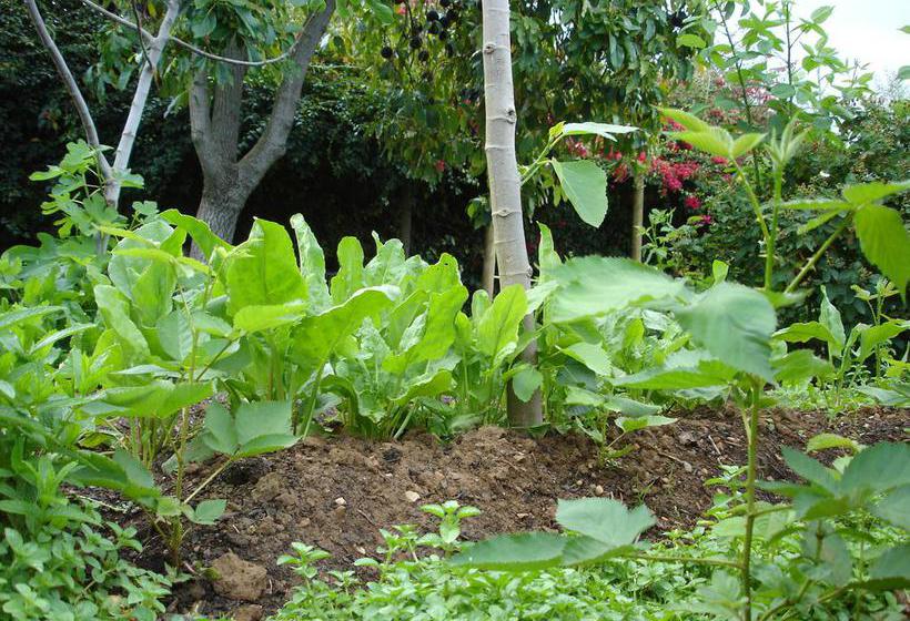 De Doornkraal Vinotel