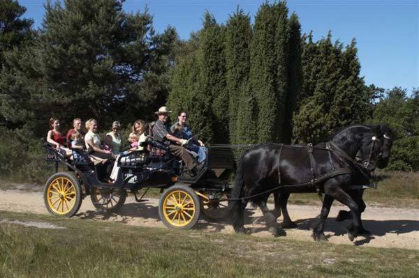 Хостел Landhaus Eickhof