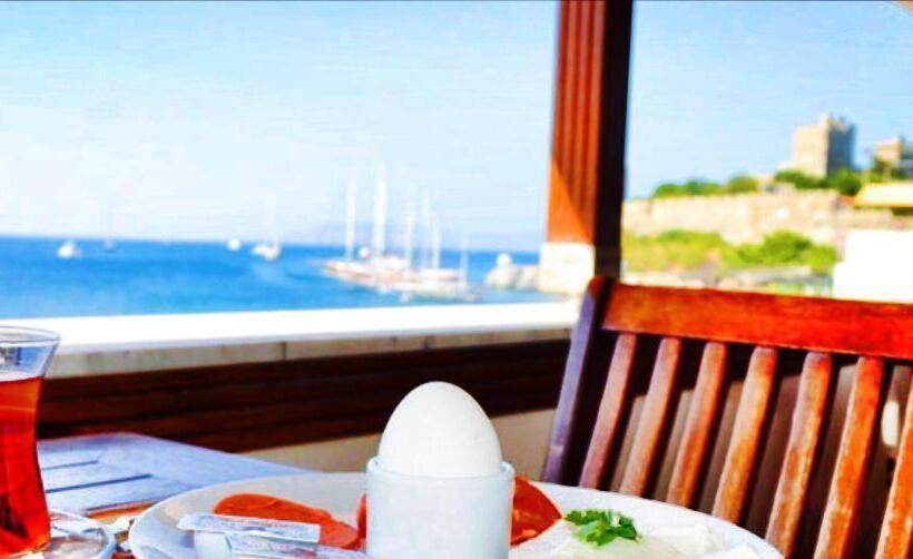 בית מלון כפרי Bac Pansiyon