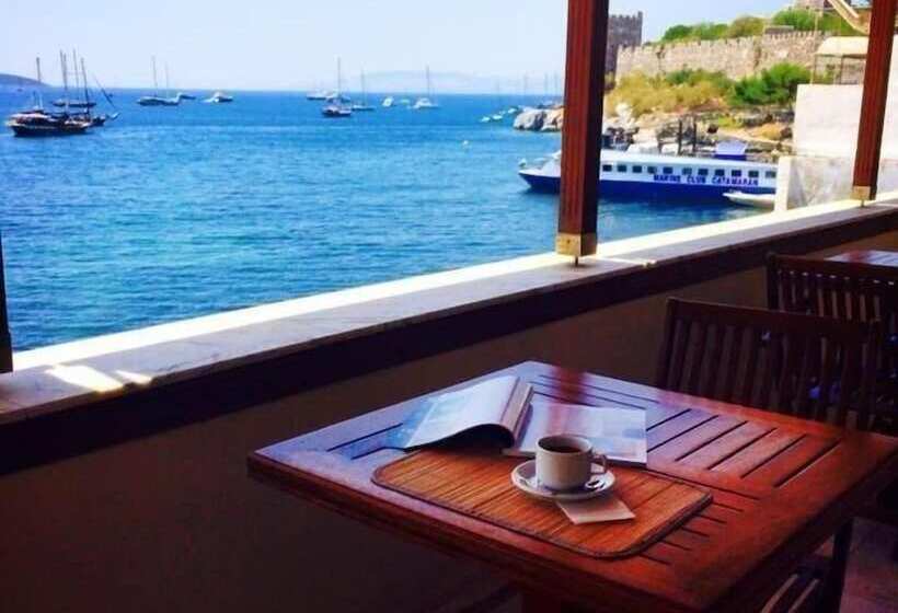 בית מלון כפרי Bac Pansiyon