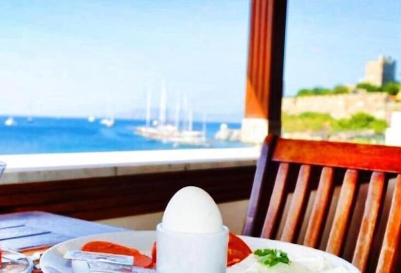 בית מלון כפרי Bac Pansiyon