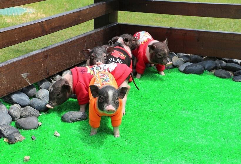 Banyan Tree Hotel Huangshan The Ancient Charm Of Huizhou, A Paradise