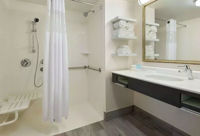 ホテル Hampton Inn & Suites Tampa Airport Avion Park Westshore