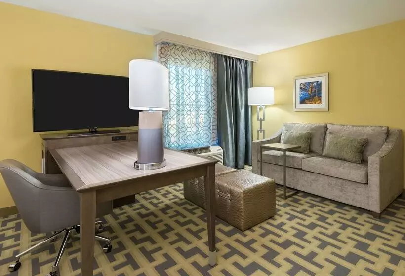 ホテル Hampton Inn & Suites Tampa Airport Avion Park Westshore