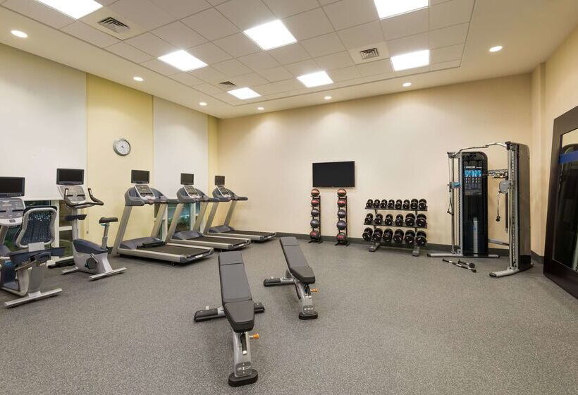 هتل Hampton Inn & Suites Tampa Airport Avion Park Westshore