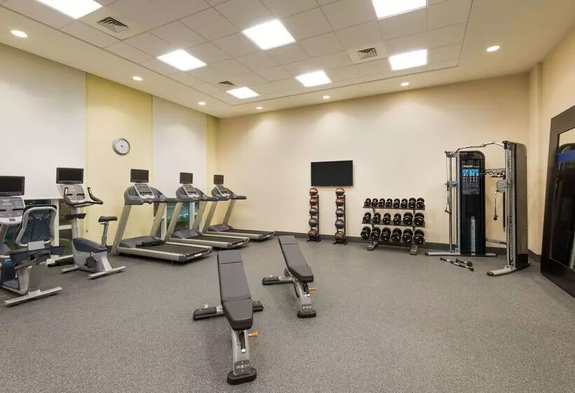 ホテル Hampton Inn & Suites Tampa Airport Avion Park Westshore
