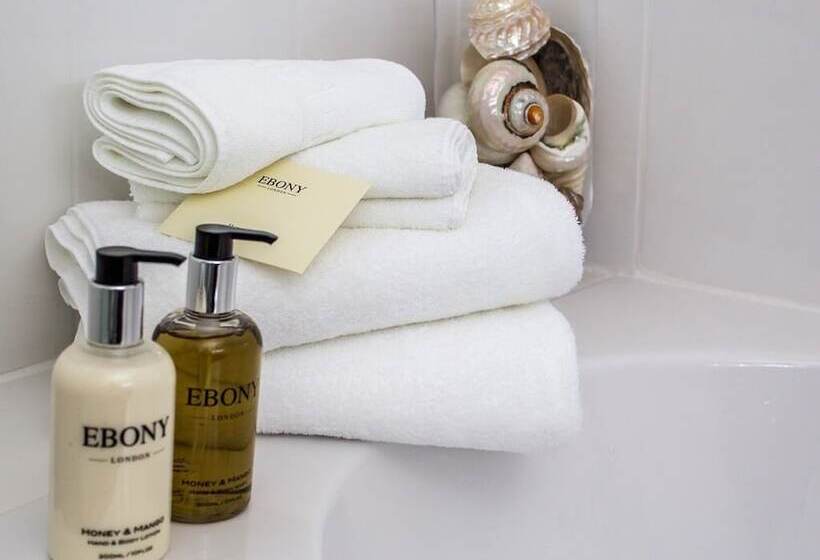 فندق The Mount Pleasant