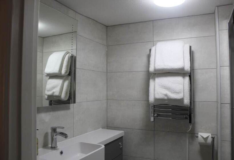 فندق The Mount Pleasant