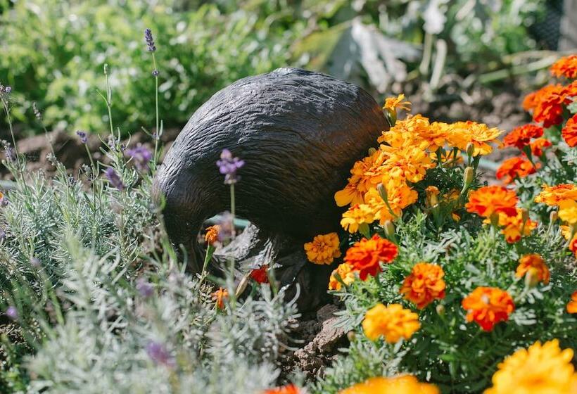 酒店 Tangiaro Kiwi Retreat