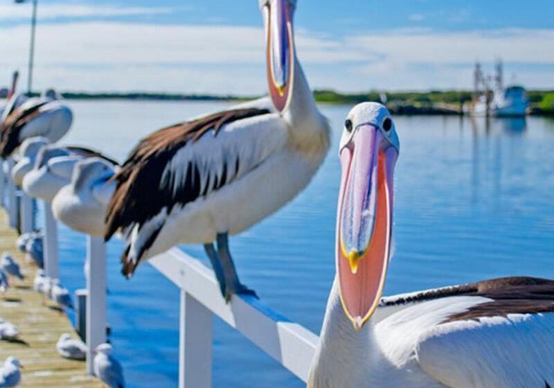 Moby Dick Waterfront Resort Motel