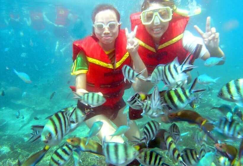 پانسیون City Grand Guest House