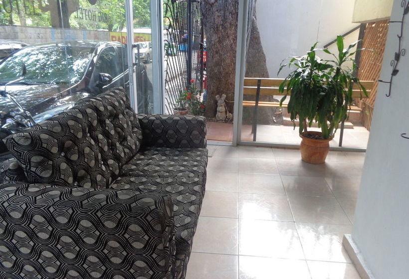 Rig Hostel Boca Chica Back Packer