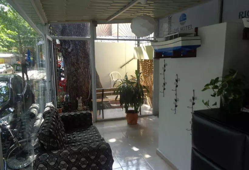 Rig Hostel Boca Chica Back Packer