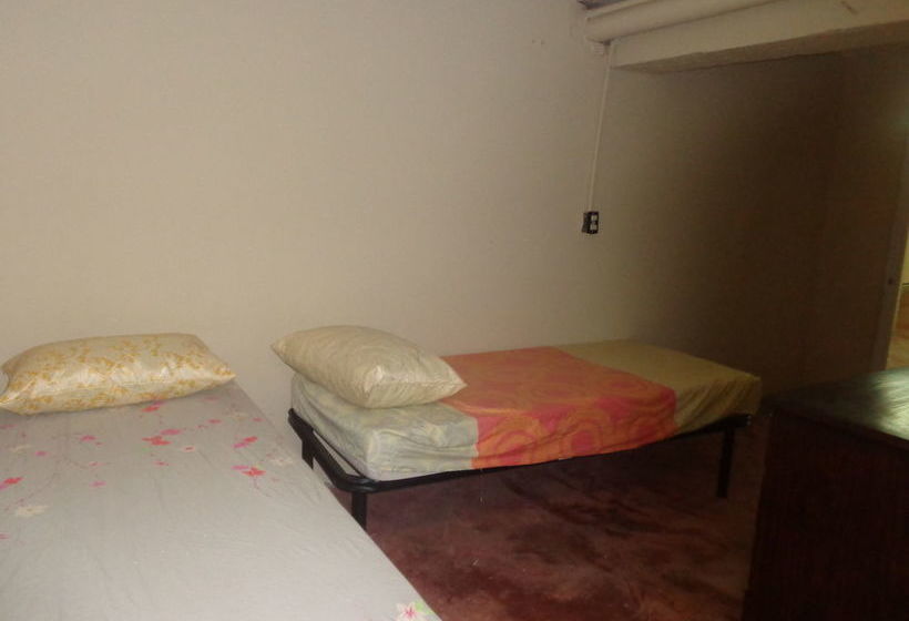 Rig Hostel Boca Chica Back Packer