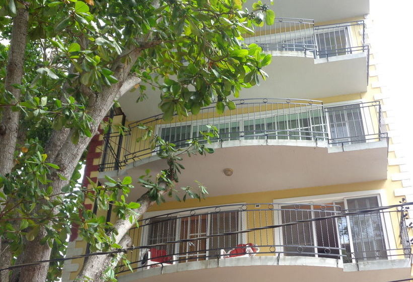 Rig Hostel Boca Chica Back Packer