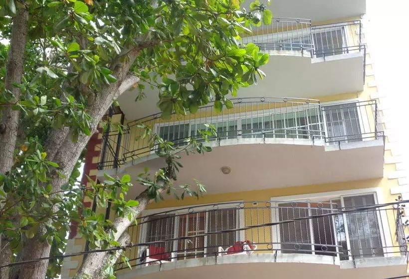 Rig Hostel Boca Chica Back Packer