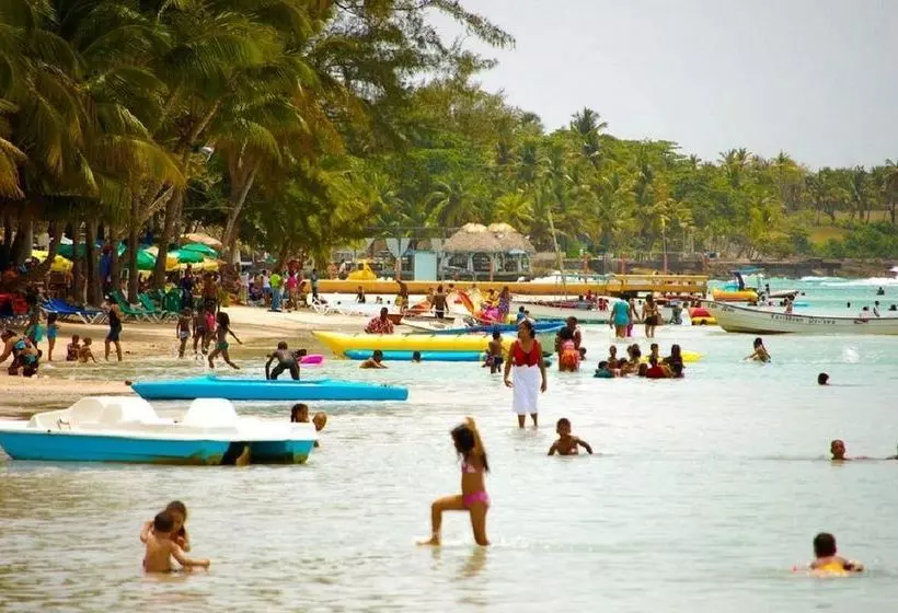 Rig Hostel Boca Chica Back Packer