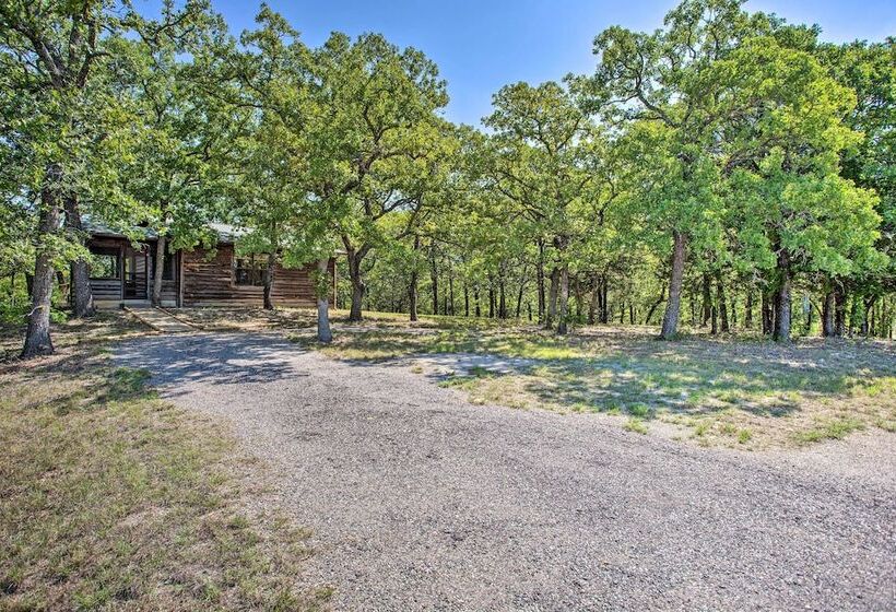 Cozy, Secluded Davis Cabin On 60 Wooded Acres