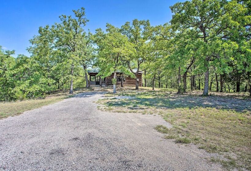 Cozy, Secluded Davis Cabin On 60 Wooded Acres