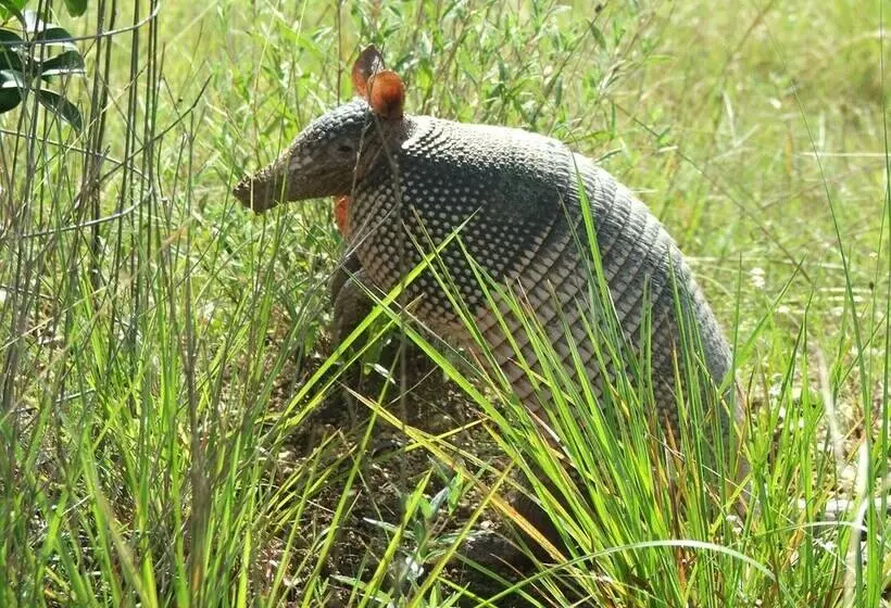 Utopia Family Home W/ Mountain Viewing Deck!