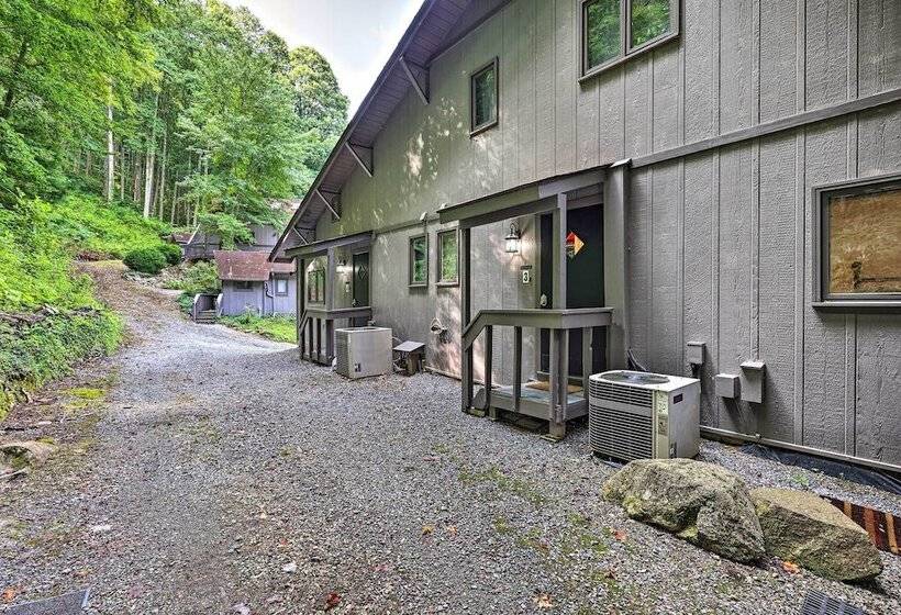 Roan Mountain Creekside Cabin: Hike & Fish!