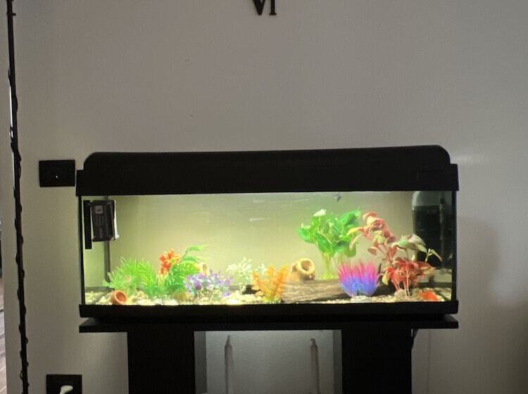 住宿加早餐  Villa Ma Ya