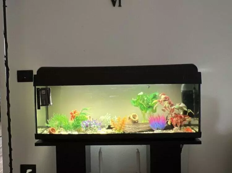 Aamiaismajoitus (B&B) Villa Ma Ya