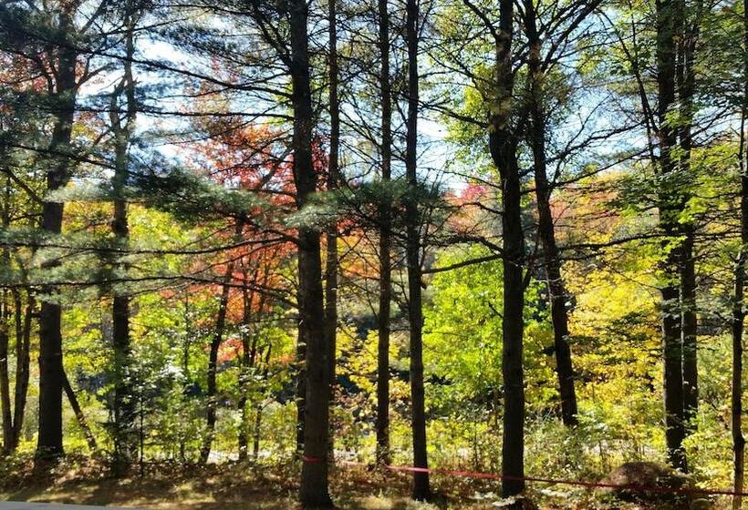 בית מלון כפרי Llama House Adk